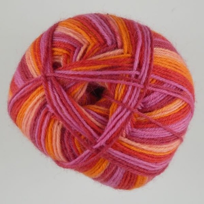 WYS - Signature 4 Ply - 881 Summer Sunset